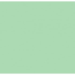 Tecido Tricoline Silky Lisa cor - 5789 (Menta)